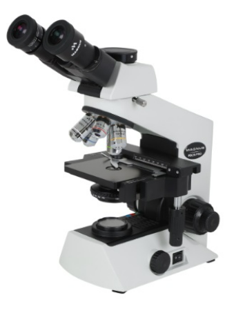 Magnus Wallaby Trinocular LED Compound Microscope