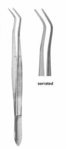 Diaguru College Tweezers; 15 cm; Serrated