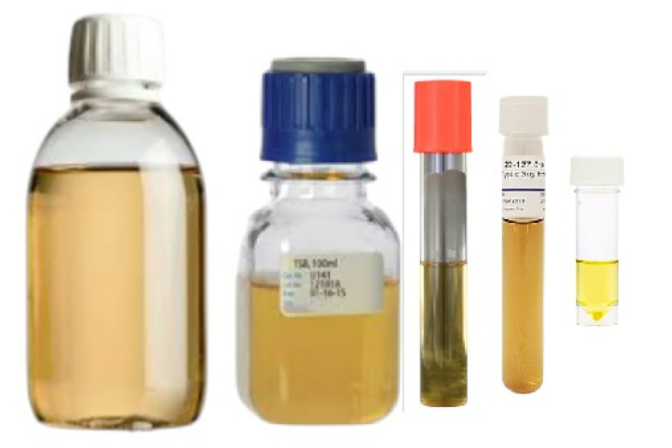 Ausmedia - TSB Trypton Soya Broth 99ml in 100ml reagent bottle