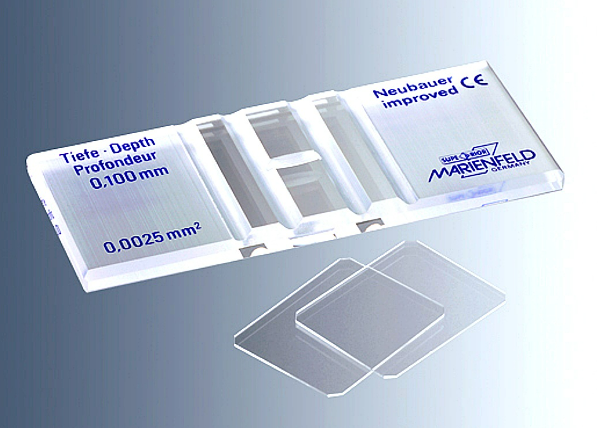 Marienfeld Counting Chambers, Neubauer-improved, depth 0.1mm, double net ruling, bright line, without clamps, with two cover glasses of 0.4mm thickness