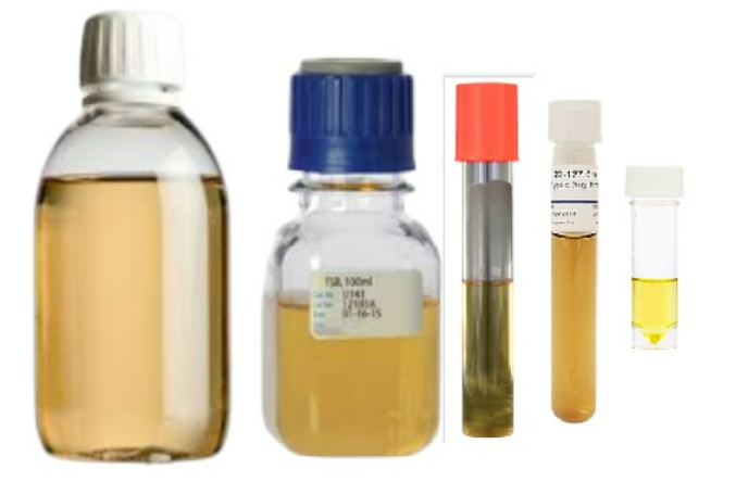 Ausmedia SDB Sabouraud Dextrose Broth 1L Bottle