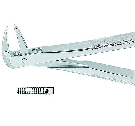 Extracting Forceps English No. 74N MEDIUM