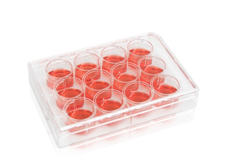 Diaguru 12-Well Cell Culture Plate, 6.9ml Clear. Flat Bottom. Tissue Culture (TC) Treated; Plastic/Paper Individually wrapped, Sterile, 50/carton Diaguru 12-Well Cell Culture Plate, 6.9ml Clear. Flat Bottom. Tissue Culture (TC) Treated; Plastic/Paper Individually wrapped, Sterile, 50/carton
