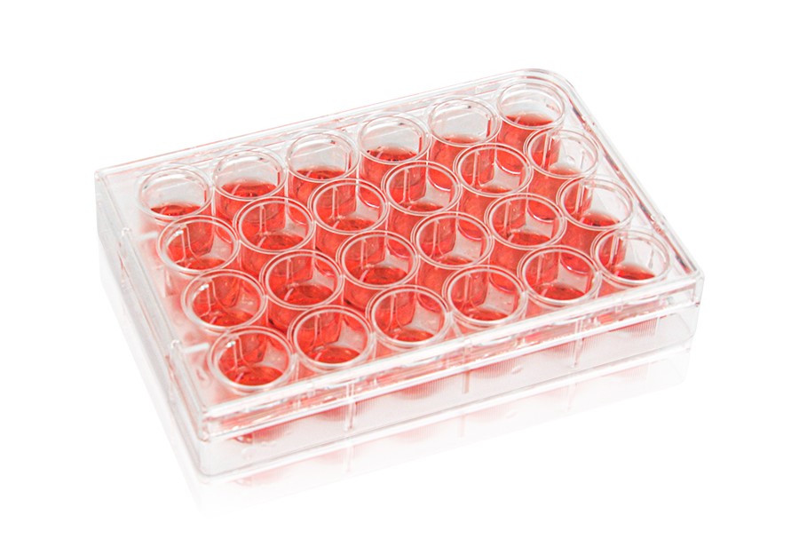 Diaguru 24-Well Cell Culture Plate, 3.4ml, Clear. Flat Bottom. Tissue Culture (TC) Treated; Plastic/Paper Individually wrapped, Sterile, 50/carton Diaguru 24-Well Cell Culture Plate, 3.4ml, Clear. Flat Bottom. Tissue Culture (TC) Treated; Plastic/Paper Individually wrapped, Sterile, 50/carton