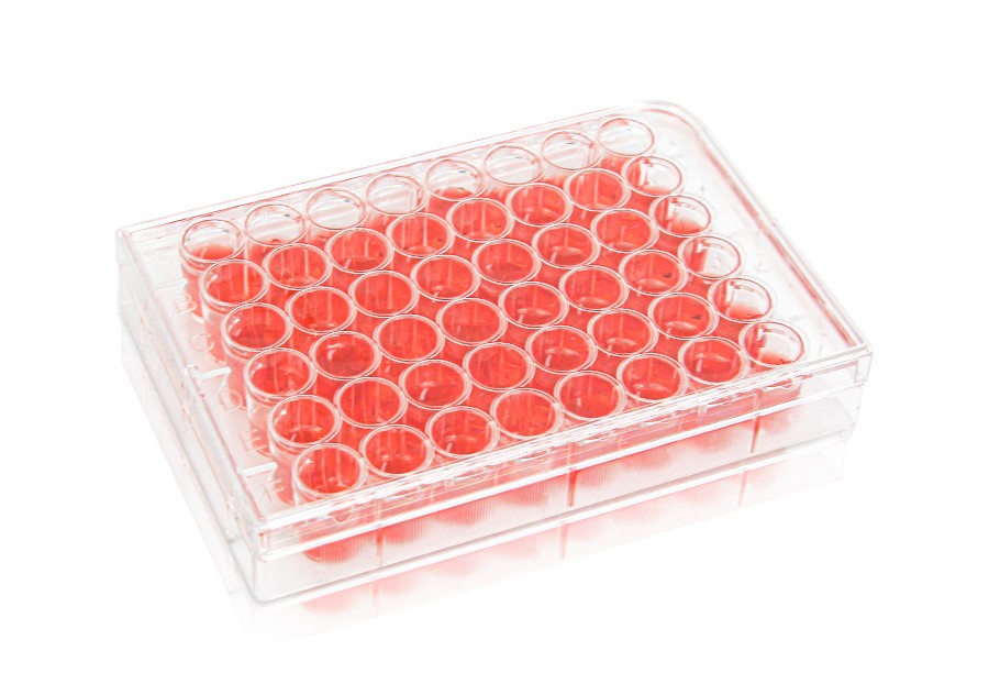 Diaguru 48-Well Cell Culture Plate, 1.6ml, Clear. Flat Bottom. Tissue Culture (TC) Treated; Plastic/Paper Individually wrapped, Sterile, 50/carton Diaguru 48-Well Cell Culture Plate, 1.6ml, Clear. Flat Bottom. Tissue Culture (TC) Treated; Plastic/Paper Individually wrapped, Sterile, 50/carton