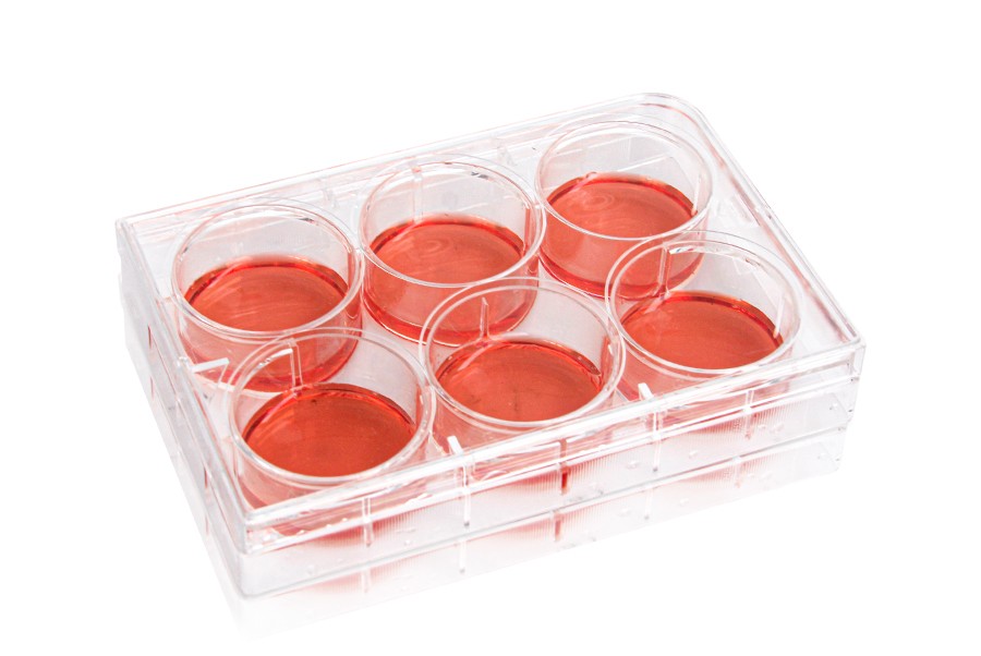 Diaguru 6-Well Cell Culture Plate, 16.8ml, Clear. Flat Bottom. Tissue Culture (TC) Treated; Plastic/Paper Individually wrapped, Sterile, 50/carton Diaguru 6-Well Cell Culture Plate, 16.8ml, Clear. Flat Bottom. Tissue Culture (TC) Treated; Plastic/Paper Individually wrapped, Sterile, 50/carton