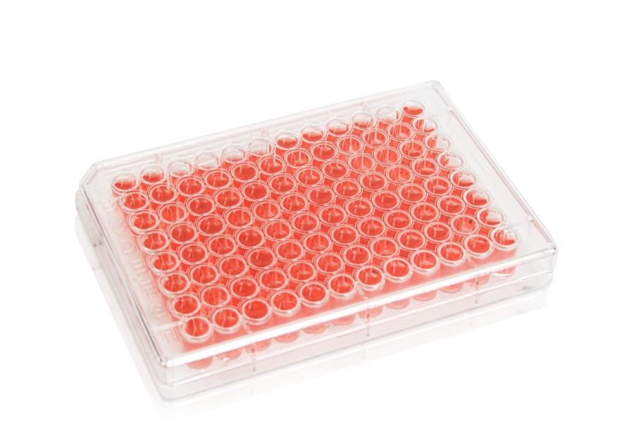Diaguru 96-Well Cell Culture Plate, 0.36ml, Clear. Flat Bottom. Tissue Culture (TC) Treated; Plastic/Paper Individually wrapped, Sterile, 50/carton Diaguru 96-Well Cell Culture Plate, 0.36ml, Clear. Flat Bottom. Tissue Culture (TC) Treated; Plastic/Paper Individually wrapped, Sterile, 50/carton