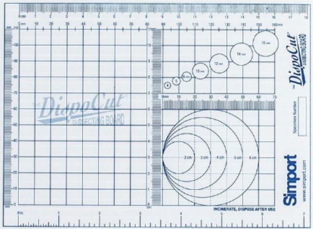 Simport Dissecting Board